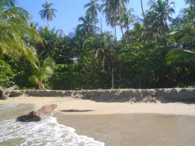 Sunrise Beach Hotel Puerto Viejo de Talamanca Экстерьер фото