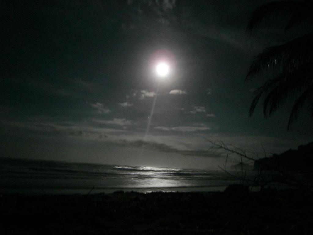 Sunrise Beach Hotel Puerto Viejo de Talamanca Экстерьер фото